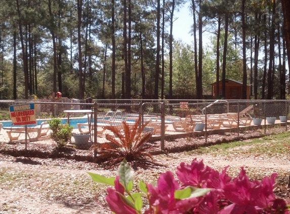 Yogi Bear's Jellystone RV Park Camp Resort - Elberta, AL. Pool Area