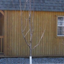 Log Cabin Gunsmithing - Guns & Gunsmiths