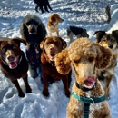 Goldiewalks