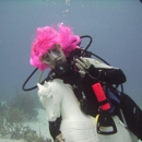 Coral Reef Dive Shop - CPR Information & Services
