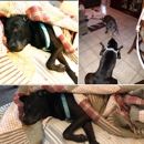 Humane Society Of Polk County - Adoption Services
