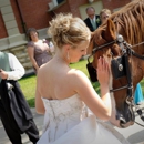Camelot Carriage Rides - Transportation Providers