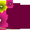 Maids By Grace Cleaning Services gallery