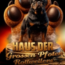 Haus Des Großen Pfoten Rottweilers - Pet Breeders