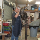 Longo's Taxidermy - Tanners