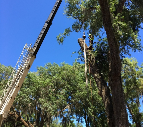 Tree Tech-Tree Service - Green Cove Springs, FL