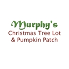 Murphy's Christmas Tree Lot & Pumpkin Patch