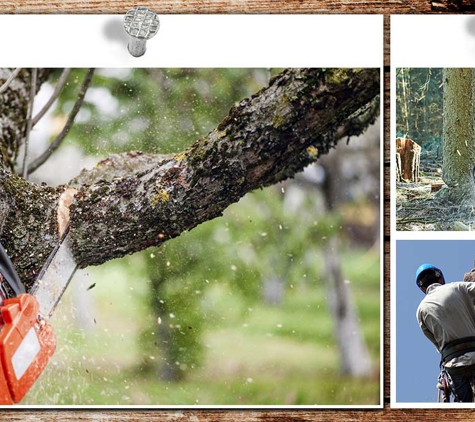 Tree Limits - Bairnsdale, VIC. We Have Full Insurance Cover