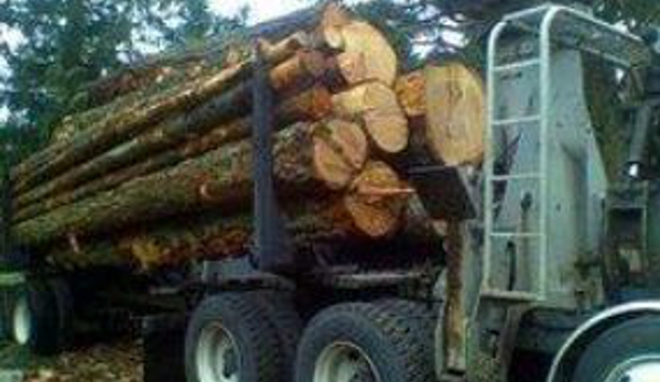 American Forest Lands Washington Logging Company - Maple Valley, WA
