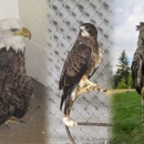 Cheyenne Pet Clinic - Veterinarians