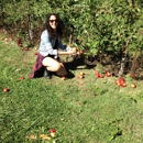 Owen Orchards - Orchards
