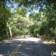 Wekiwa Springs State Park