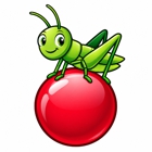 Cricket Pest Control