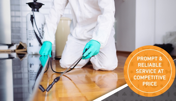 Atrax Services Pest Control - Bomaderry, NSW. Prompt & Reliable Service At Competitive Price