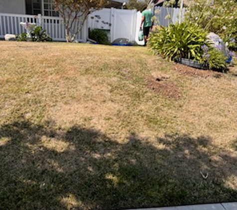 AAA Lawn Painting - West Hills, CA. Before