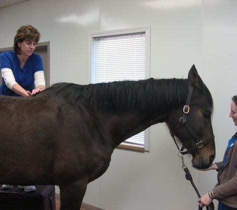 COUNTRYCARE ANIMAL COMPLEX INC - Green Bay, WI