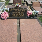 Gallery Image Number 5