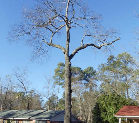 Eaddy's Tree Specialist - Lake City, SC