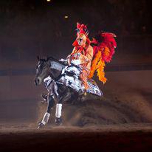 Schwartzenberger Equine - Longmont, CO