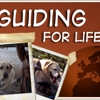 Guiding For Life: Reiki and Spiritual Guidance gallery