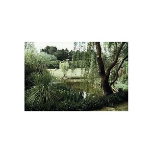 Michael Bligh & Associates - Goulburn, NSW