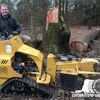 Custom Stump Grinding gallery