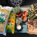 Green Thumb Nursery - Garden Centers