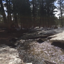 Palm Springs Aerial Tramway - Tourist Information & Attractions