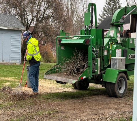 Star Tree Service - Waterford, PA