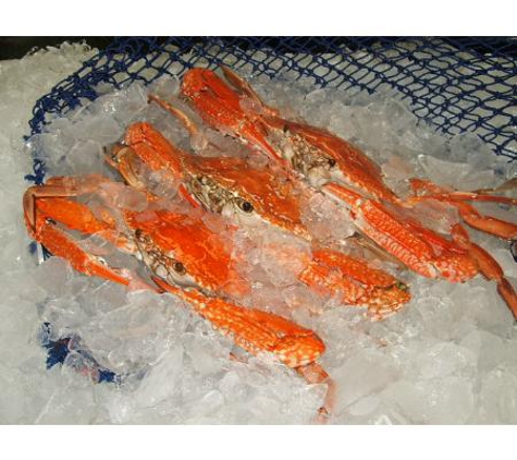 Urangan Fisheries - Urangan, QLD