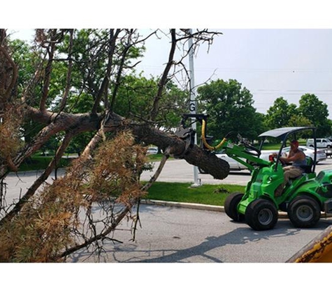 Timber Masters Tree Service - Schererville, IN