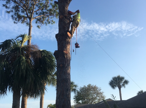 Flagler Land Management LLC - Palm Coast, FL