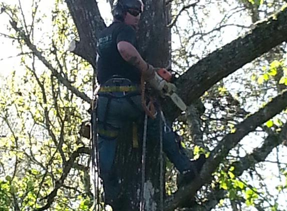 A-1 Ron's Stump & Tree Removal - Eugene, OR