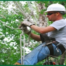 Treescape Inc - Tree Service