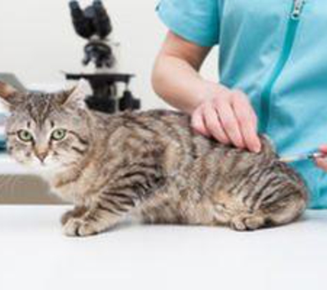 Mechanicsburg Veterinary Clinic - Mechanicsburg, PA