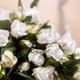 Pleasanton Floral Photography & Tuxedo Rental