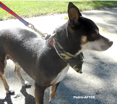 Tender Care Pet  Grooming - Davison, MI