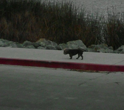 Antioch Marina - Antioch, CA