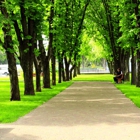 Long Fence
