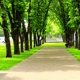 Long Fence