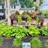 B&M Landscaping and Cleaning Services gallery