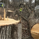 Cabanas Tree Expert - Arborists