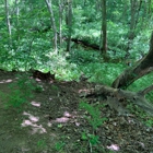 Caratunk Wildlife Refuge