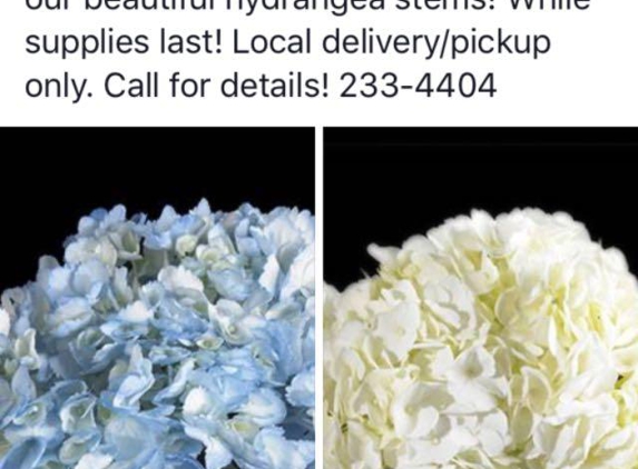 Spedale's Florist and Wholesale - Broussard, LA