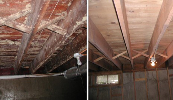 GSC Services - Mold & Asbestos Specialists - Wayne, NJ