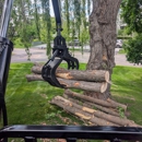 Trees by Forrest | Tree Removal Company in Plymouth, MN - Tree Service