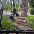 Trees by Forrest | Tree Removal Company in Plymouth, MN