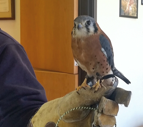 Valley Veterinary Hospital - Denver, CO