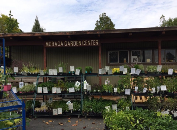 Moraga Garden Center - Moraga, CA