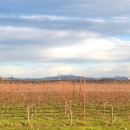 Agate Ridge Vineyard - Wine
